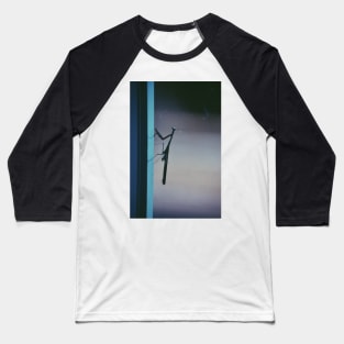 Mantis on a Window Baseball T-Shirt